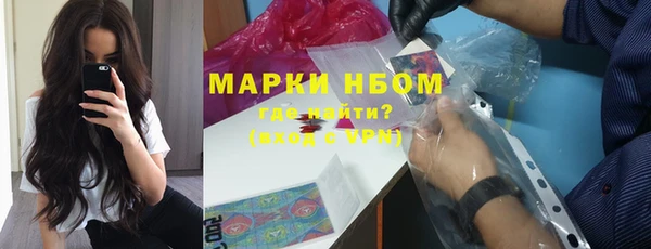 хмурый Алзамай