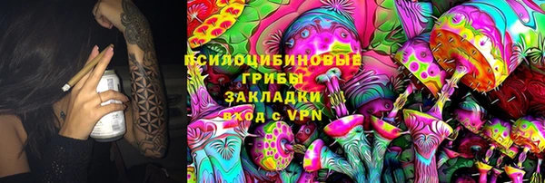 хмурый Алзамай