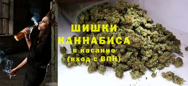 хмурый Алзамай