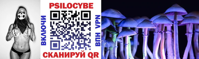 ОМГ ОМГ ONION  Сибай  Галлюциногенные грибы Psilocybine cubensis 